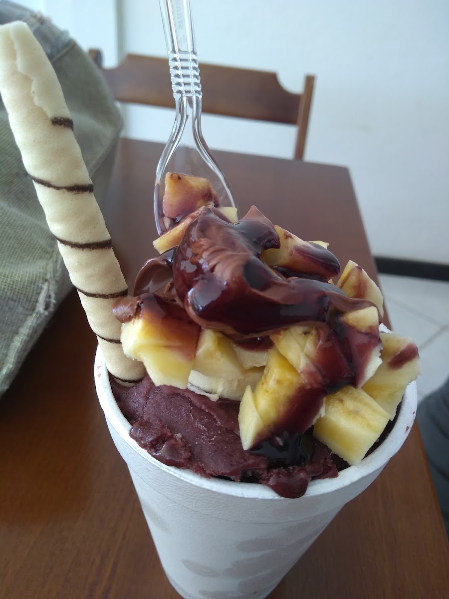 Sorveteria E Açaiteria Pionti